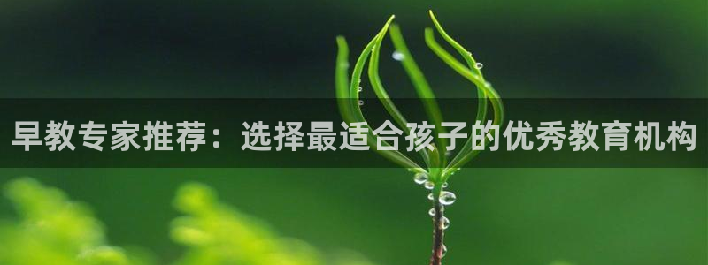 恒行招商老大诚挚 6ll5l：早教专家推荐：选择最适合孩子的优秀教育机构