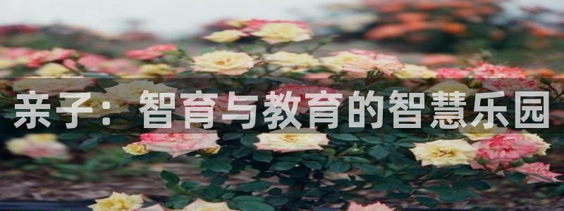 恒行2冯74OOO5：亲子：智育与教育的智慧乐园