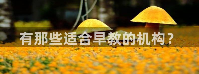 恒行2许74OOO5：有那些适合早教的机构？