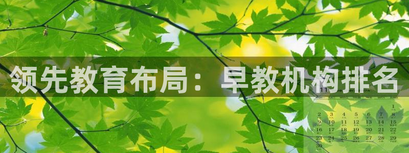 恒行主管总代6ll5l周至：领先教育布局：早教机构排名