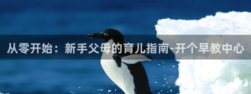 恒行娱乐登录信用 74ooo5：从零开始：新手父母的育儿指南-开个早教中心
