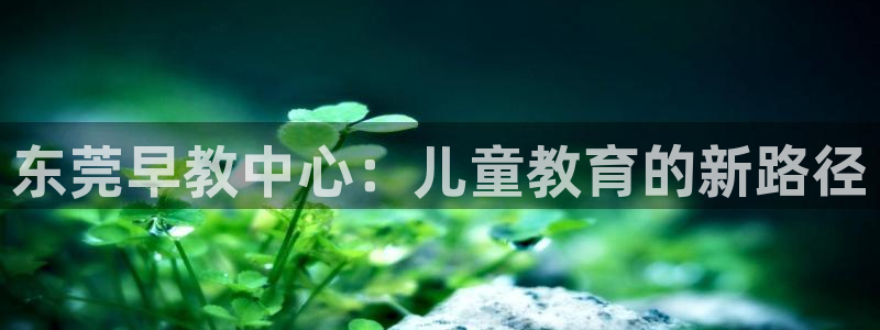 恒指5行情 如来再我心：东莞早教中心：儿童教育的新路径