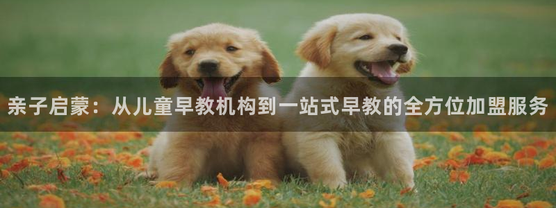 恒行5：亲子启蒙：从儿童早教机构到一站式早教的全方位加盟服务