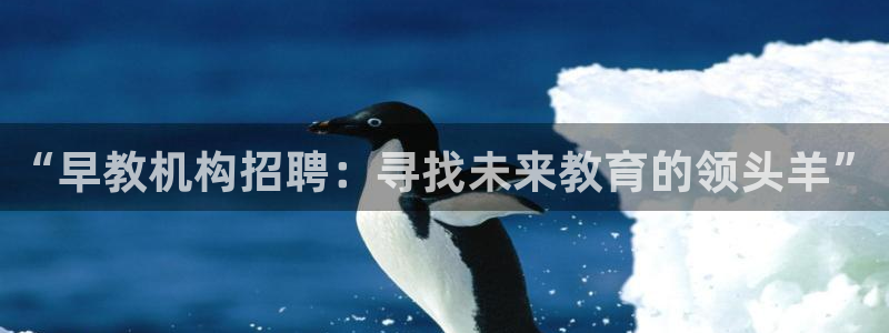 恒行2朱74OOO5：“早教机构招聘：寻找未来教育的领头羊”