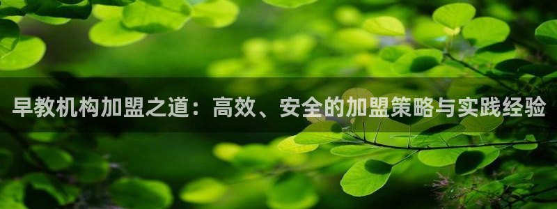 恒行2沈74OOO5：早教机构加盟之道：高效、安全的加盟策略与实践经验