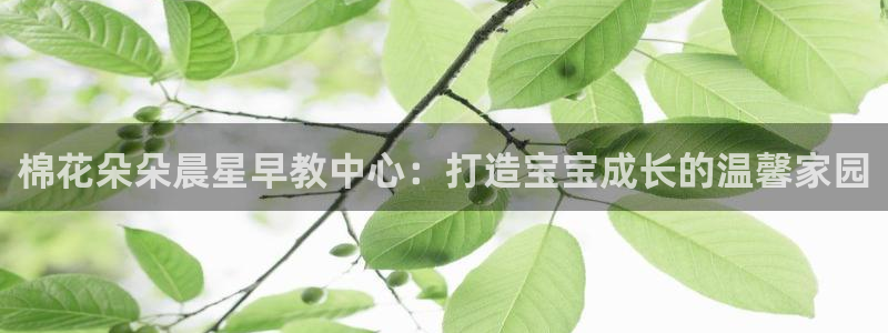 恒行娱乐登录5ll533主管一流：棉花朵朵晨星早教中心：打造宝宝成长的温馨家园
