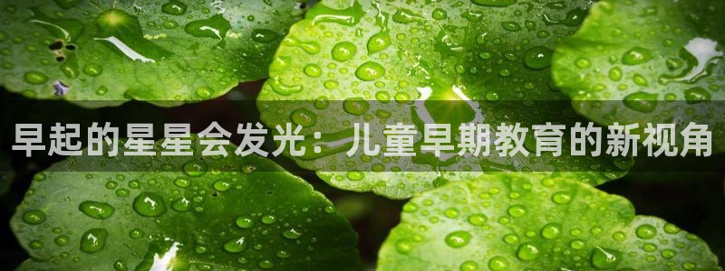 恒行2吴74OOO5：早起的星星会发光：儿童早期教育的新视角