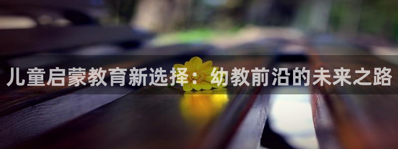 恒行娱乐度74ooo5聘霖：儿童启蒙教育新选择：幼教前沿的未来之路