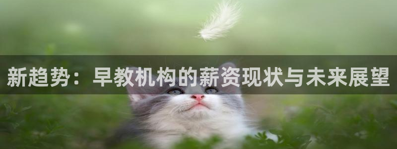恒行娱乐老板推荐5ll533主管：新趋势：早教机构的薪资现状与未来展望