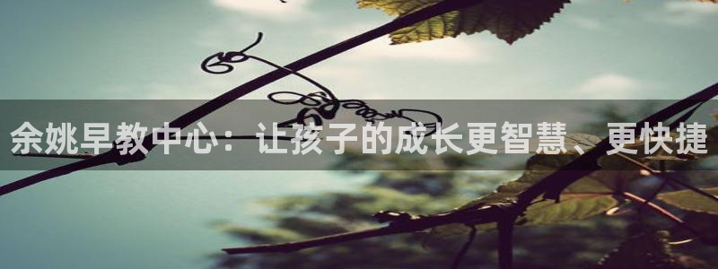 恒行代理总代主导 6ll5l：余姚早教中心：让孩子的成长更智慧、更快捷