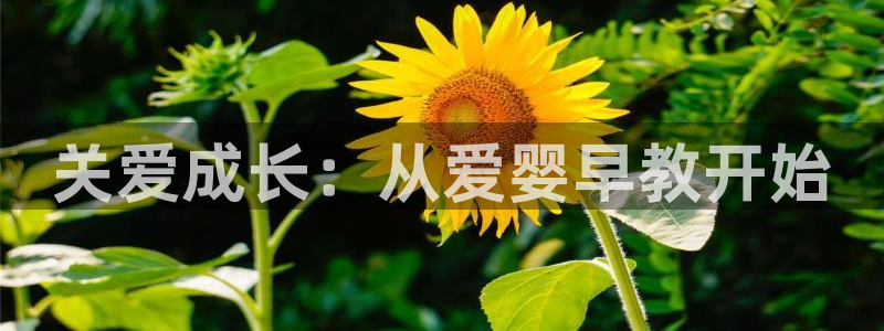 恒行2韩74OOO5：关爱成长：从爱婴早教开始