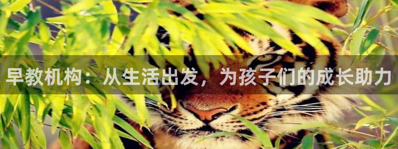 恒指5行情 如来再我心：早教机构：从生活出发，为孩子们的成长助力