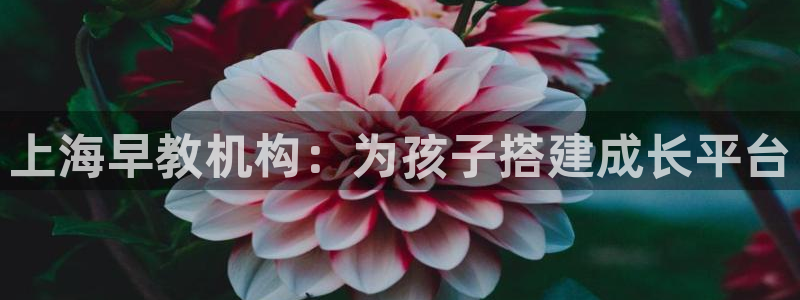 恒行娱乐吕74OOO5：上海早教机构：为孩子搭建成长平台