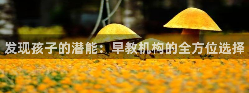 恒行2吕74OOO5：发现孩子的潜能：早教机构的全方位选择