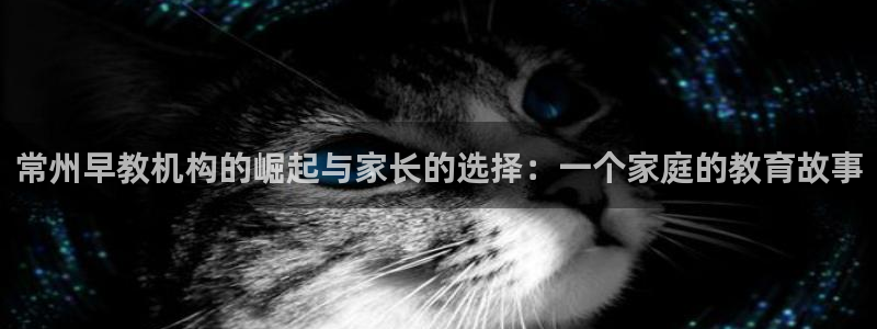 恒行娱乐招收点赞5ll533主管：常州早教机构的崛起与家长的选择：一个家庭的教育