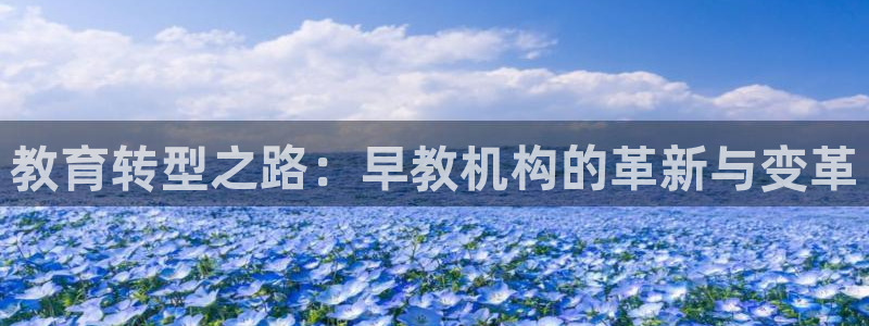 恒行2蒋74OOO5：教育转型之路：早教机构的革新与变革