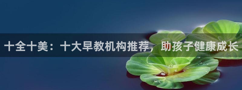 恒行5娱乐：十全十美：十大早教机构推荐，助孩子健康成长