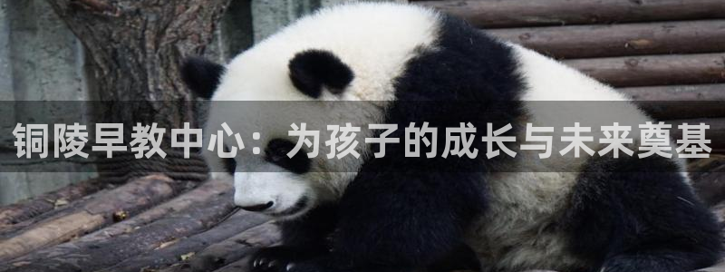 恒行2周74OOO5：铜陵早教中心：为孩子的成长与未来奠基