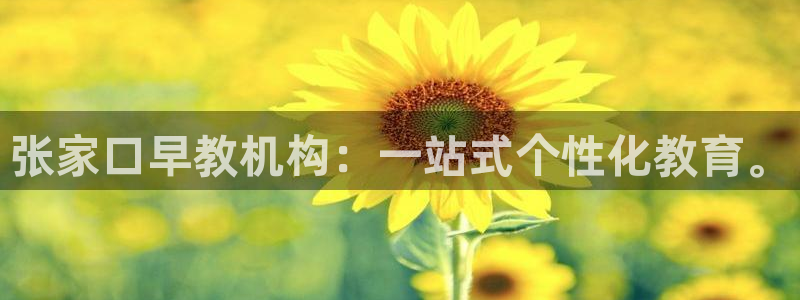 恒行代理总代主导 6ll5l：张家口早教机构：一站式个性化教育。