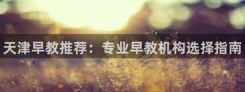 恒行5：天津早教推荐：专业早教机构选择指南