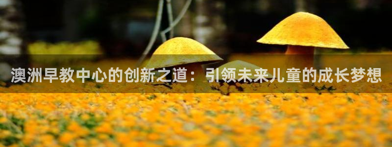 恒行2下74OO5：澳洲早教中心的创新之道：引领未来儿童的成长梦想