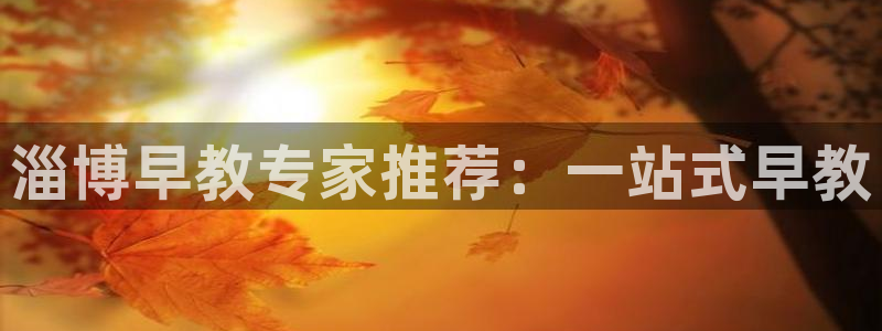 恒行娱乐毓婆74ooo5仪：淄博早教专家推荐：一站式早教