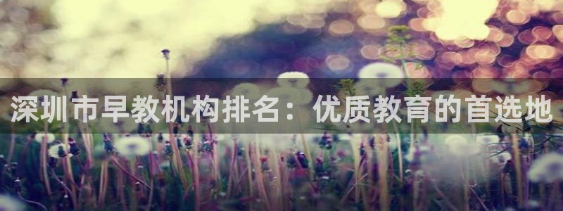 恒行注册招收6ll5l指定：深圳市早教机构排名：优质教育的首选地