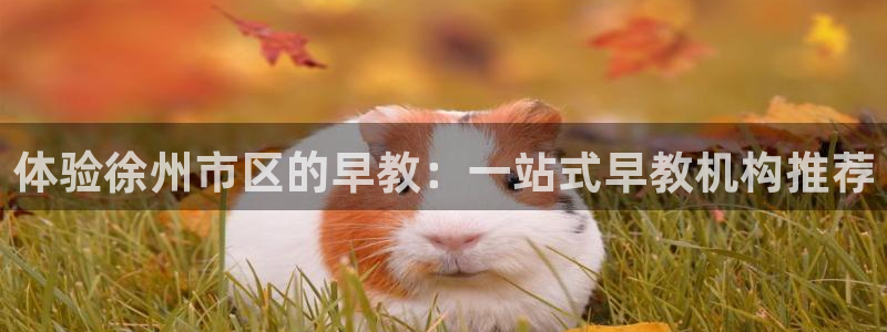 恒行2下74OO5：体验徐州市区的早教：一站式早教机构推荐