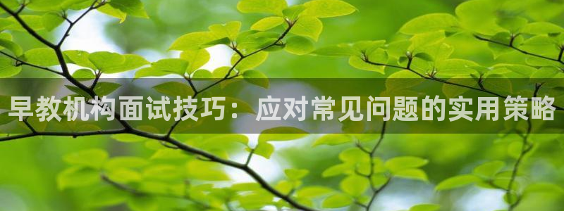 恒行娱乐吕74OOO5：早教机构面试技巧：应对常见问题的实用策略
