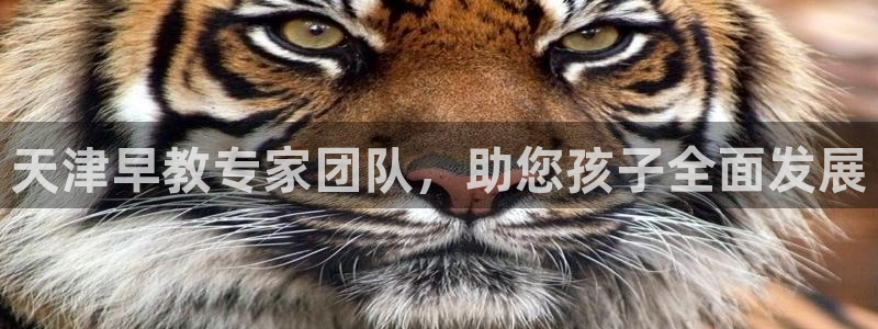 恒行主管总代6ll5l周至：天津早教专家团队，助您孩子全面发展