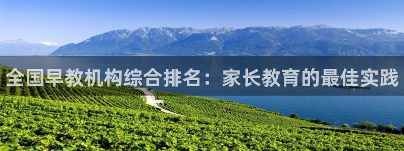 恒行2下74OOO5：全国早教机构综合排名：家长教育的最佳实践