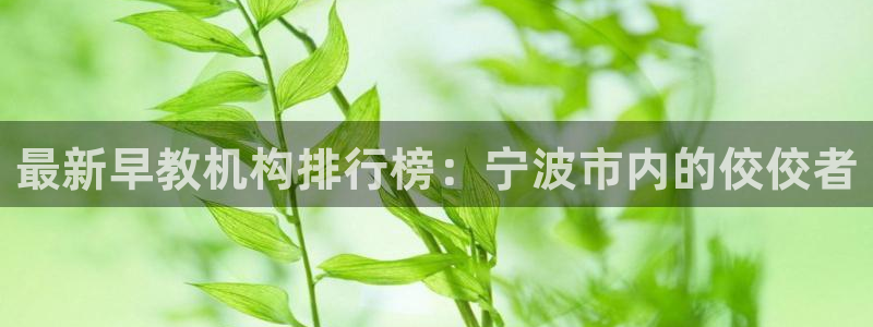 恒行娱乐郑74OOO5：最新早教机构排行榜：宁波市内的佼佼者
