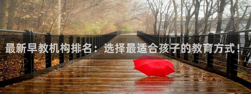 恒行主管总代6ll5l周至：最新早教机构排名：选择最适合孩子的教育方式！