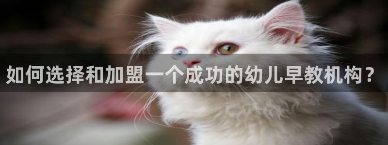 恒行娱乐吴74OOO5：如何选择和加盟一个成功的幼儿早教机构？