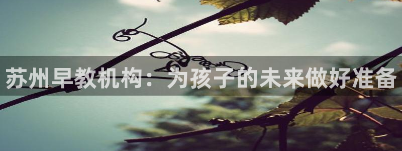 恒行娱乐蜗74ooo5指磁：苏州早教机构：为孩子的未来做好准备