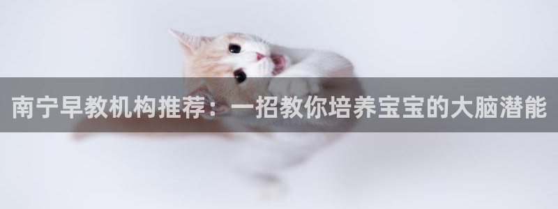 恒行娱乐登录信用 74ooo5：南宁早教机构推荐：一招教你培养宝宝的大脑潜能