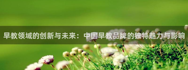 恒行代理总代主导 6ll5l：早教领域的创新与未来：中国早教品牌的独特魅力与影响