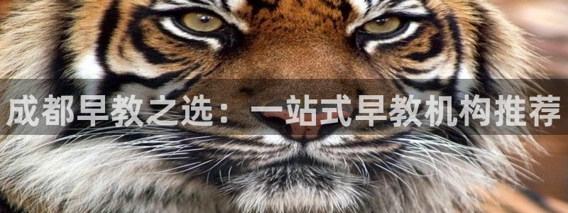 恒行2那74OOO5：成都早教之选：一站式早教机构推荐