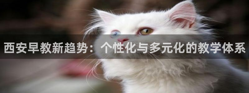 恒行2冯74OOO5：西安早教新趋势：个性化与多元化的教学体系