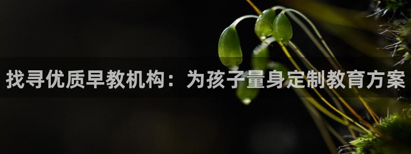 恒行开户娱乐赞议6ll5l：找寻优质早教机构：为孩子量身定制教育方案