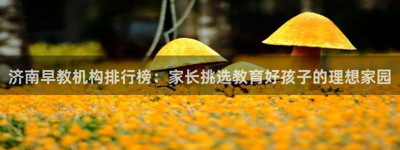 恒行主管招收 6ll5l出奇：济南早教机构排行榜：家长挑选教育好孩子的理想家园