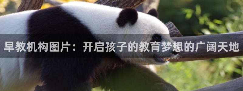 恒行娱乐吴74OOO5：早教机构图片：开启孩子的教育梦想的广阔天地