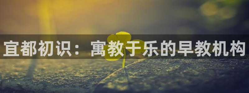 恒行娱乐景74ooo5诿抢：宜都初识：寓教于乐的早教机构