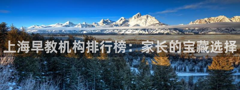 恒行主管招收 6ll5l出奇：上海早教机构排行榜：家长的宝藏选择