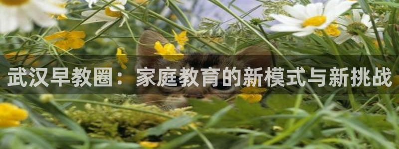 恒行代理总代主导 6ll5l：武汉早教圈：家庭教育的新模式与新挑战