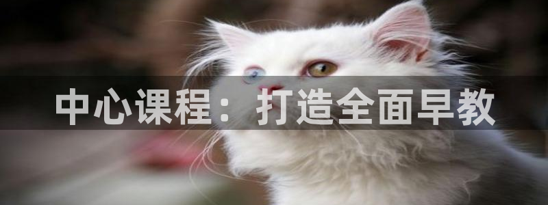 恒行登录老大6ll5l典型：中心课程：打造全面早教