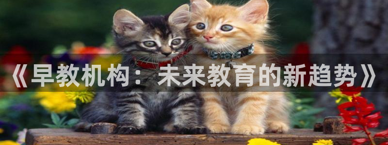 恒行娱乐见5ll533主管：《早教机构：未来教育的新趋势》