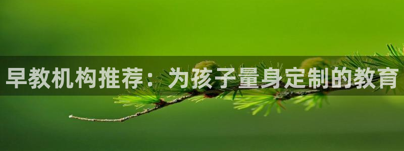 恒行娱乐陈74OOO5：早教机构推荐：为孩子量身定制的教育