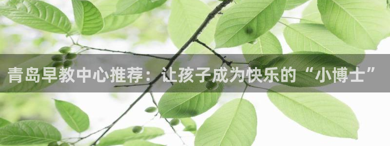 恒行娱乐登录5ll533主管一流：青岛早教中心推荐：让孩子成为快乐的“小博士”