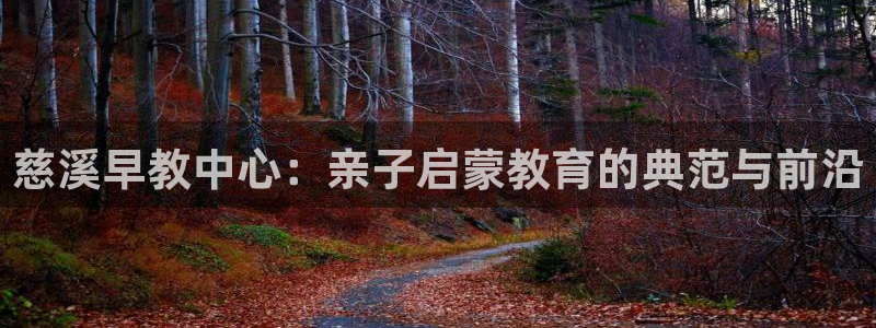 恒行2郑74OOO5：慈溪早教中心：亲子启蒙教育的典范与前沿